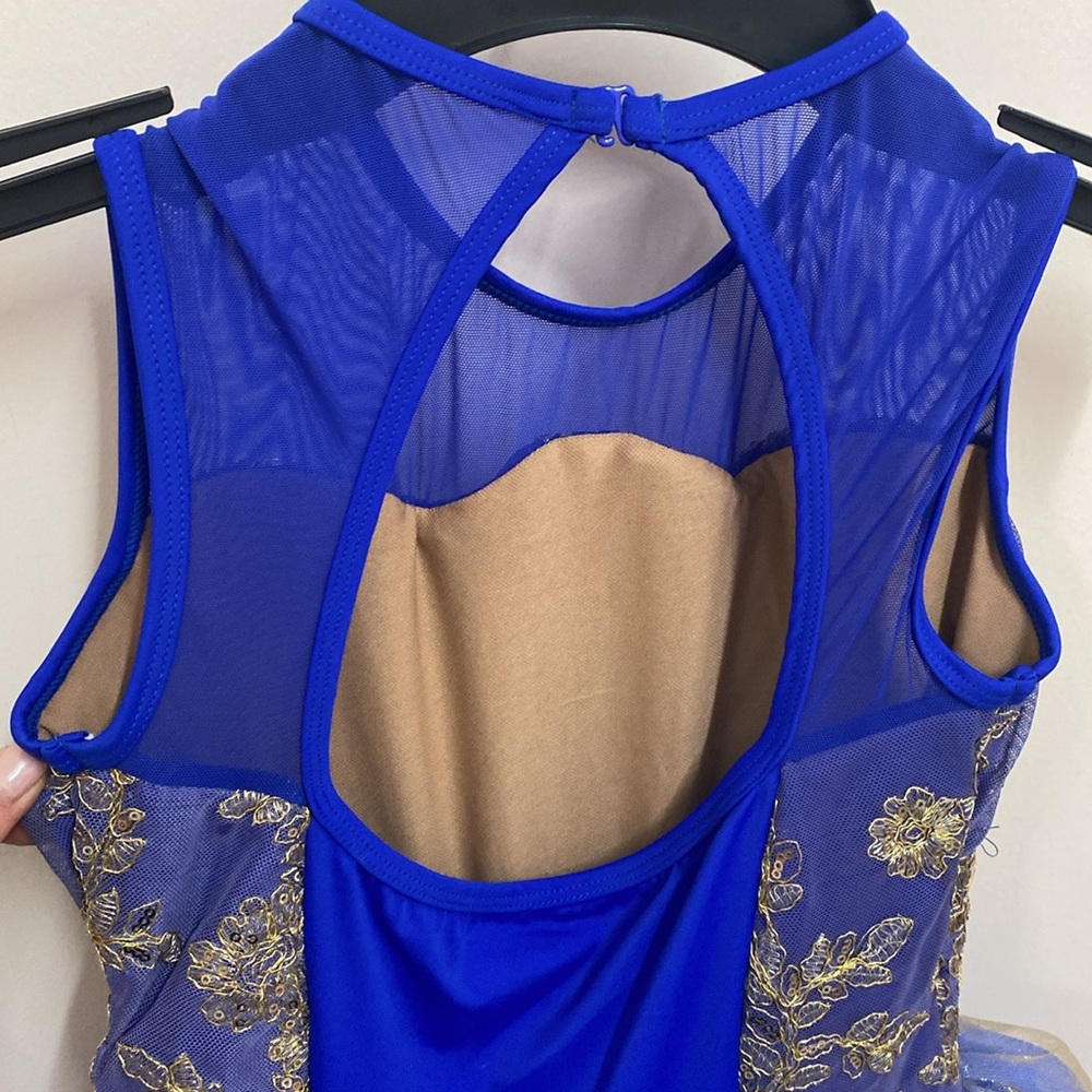 REVOLUTION DANCEWEAR  Ballet costume- Enchanted Suite Size: LC ;worn once - Picture 5 of 6